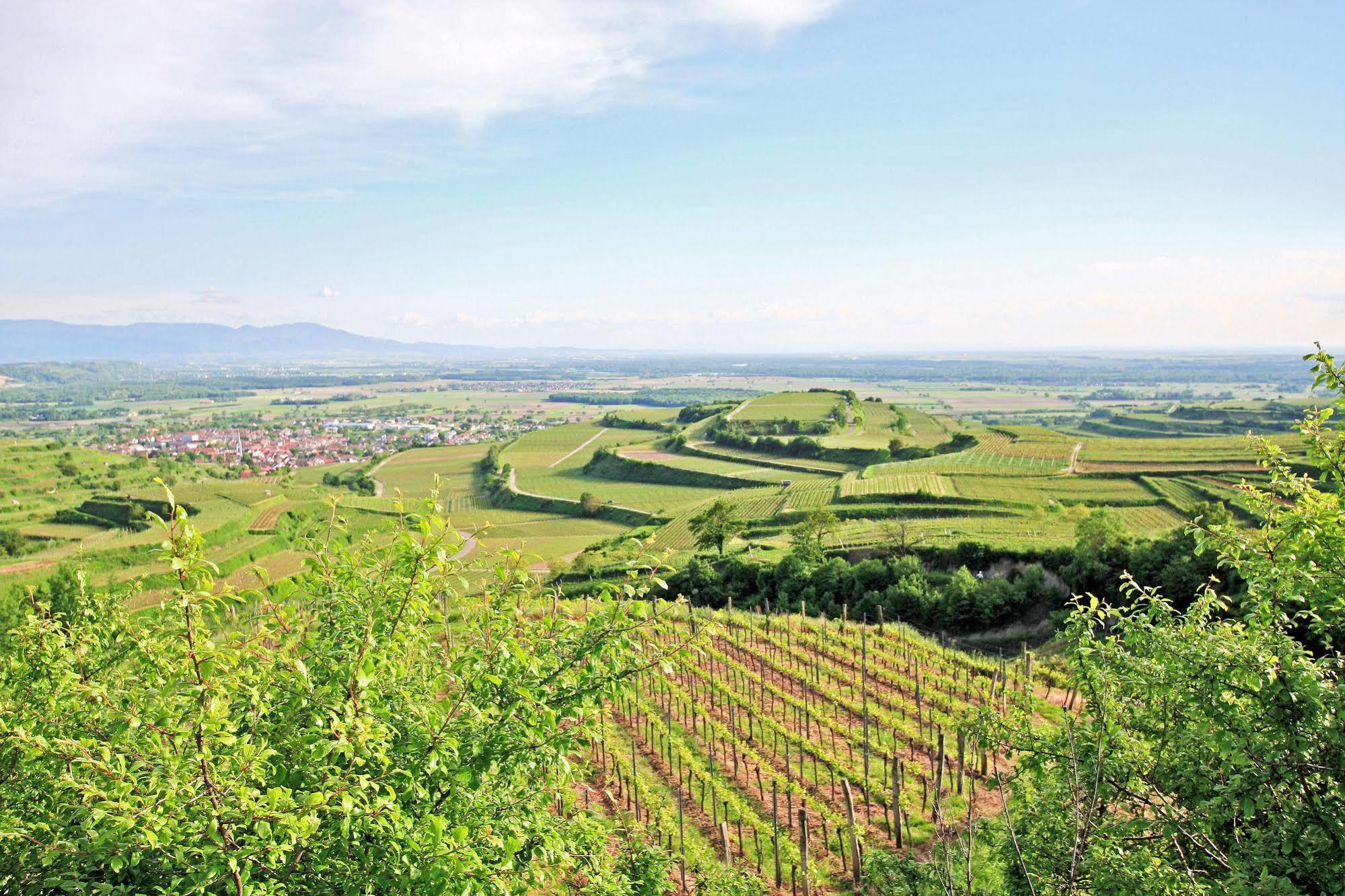 Hotel Winzerstube Ihringen Esterno foto